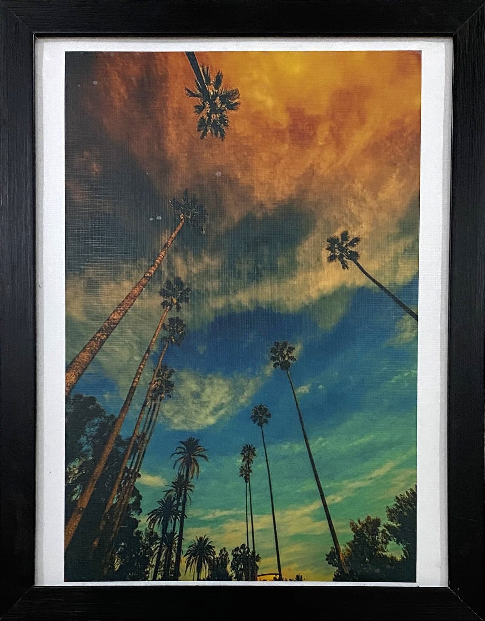 Palms at dusk, 12×16 in black frame