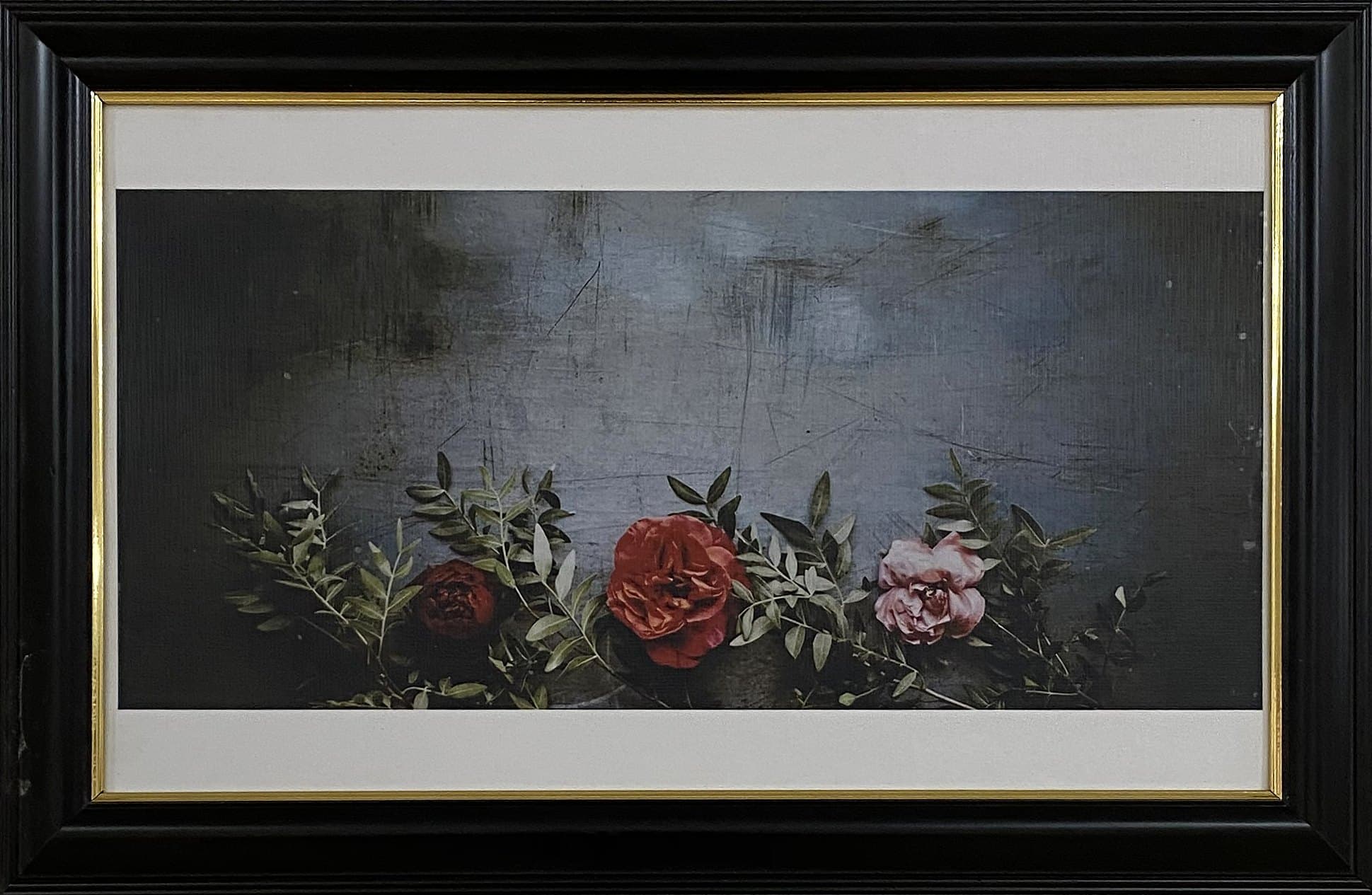 Roses, landscape, 12×20 in black frame